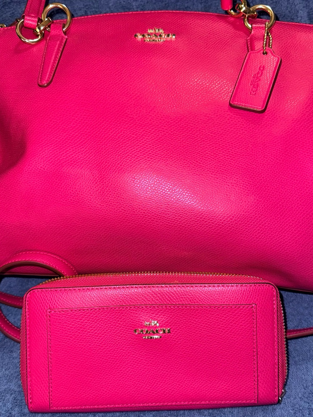 Coach Christie Carryalls Leather Tote with Matching Zip Wallet